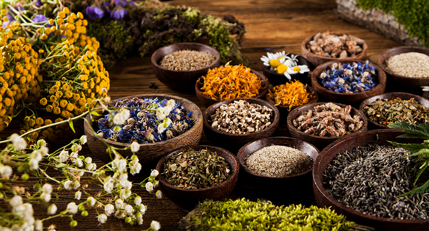 Herbal Supplements Blend Tradition with Scientific Rigor